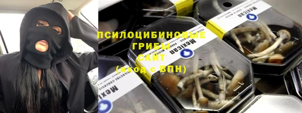 ECSTASY Горняк