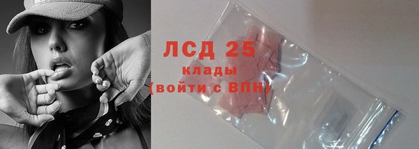 ECSTASY Горняк