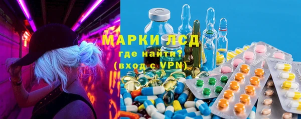 ECSTASY Горняк