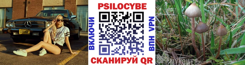 Галлюциногенные грибы GOLDEN TEACHER  Купить закладки  Усть-Джегута 